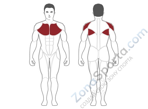 Баттерфляй Steel Flex Hope HPD700