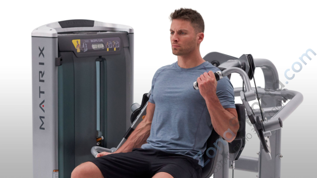 Баттерфляй / Задняя дельта Matrix Ultra Base G7-S22BH