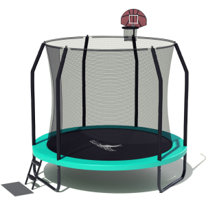 Батут Wallaby Sydney 8 FT Basketball