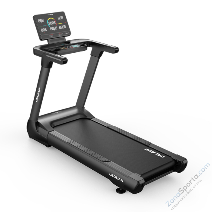 Беговая дорожка Orlauf Leguan