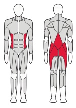 Гакк машина Fitex Pro FTX-FB57