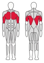 Гравитрон Fitex Pro FTX-61F16A Гравитрон Fitex Pro FTX-61F16A