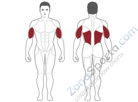 Гравитрон Steel Flex Hope HCD2100