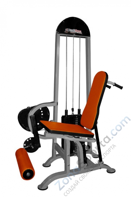 Грузоблочный тренажер для квадрицепса бицепса бедра ProfiGym ТГ-0130-C