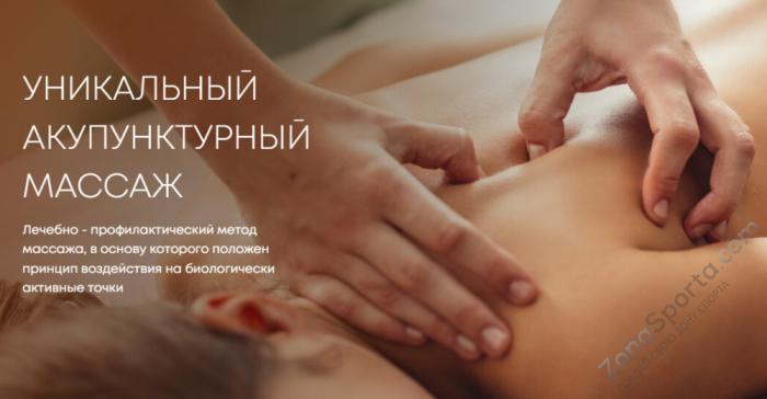 Массажное кресло iMassage Zero Gravity Black/Brown