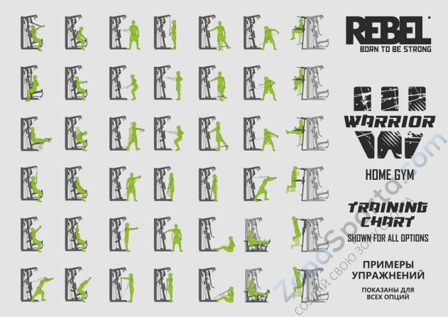 Многофункциональный тренажер Rebel Warrior в комплекте с турником