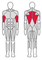 Нижняя тяга Fitex Pro FTX-7313 Нижняя тяга Fitex Pro FTX-7313