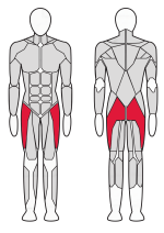 Тренажер Отводящие мышцы бедра XR114