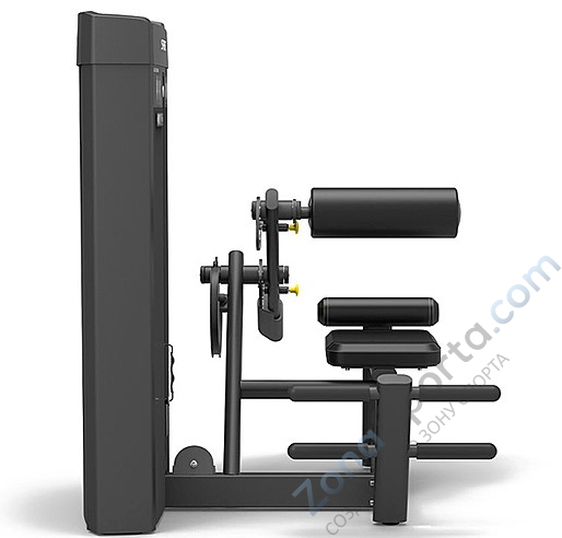 Разгибание спины Spirit SP-4310