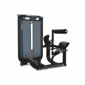 Разгибание спины UltraGym UG-CL503