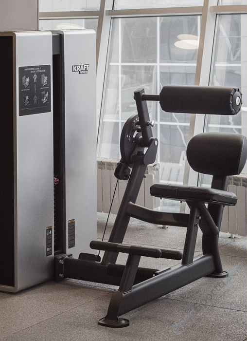 Силовой тренажер Пресс/разгибание спины Kraft Fitness KFDXABBE