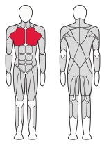 Скамейка для жима под углом вниз Fitex Pro Optima FTX-61A40