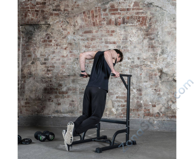 Стойка для отжиманий (брусья) DFC G002A