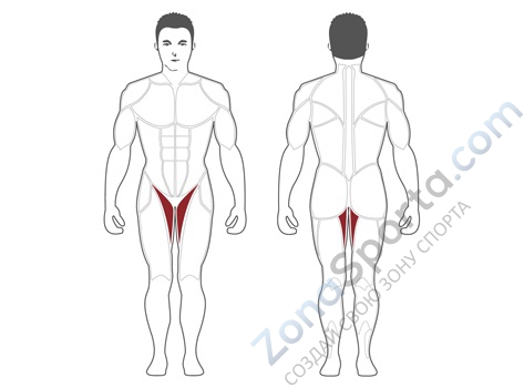 Сведенье ног Steel Flex Hope HAD1100