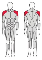 Тренажер Дельта машина XR113