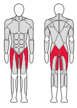 Тренажер для ягодичных мышц бедра стоя Fitex FTX-6220 Тренажер для ягодичных мышц бедра стоя Fitex FTX-6220