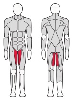 Тренажер для приводящих мышц бедра Fitex Pro FTX-61F2