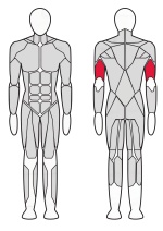 Трицепс машина Fitex Pro FTX-61F12