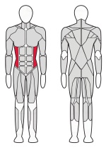 Твистер машина Fitex Pro FTX-7319 Твистер машина Fitex Pro FTX-7319