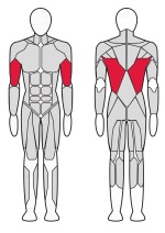 Верхняя тяга Fitex Pro FTX-61F15